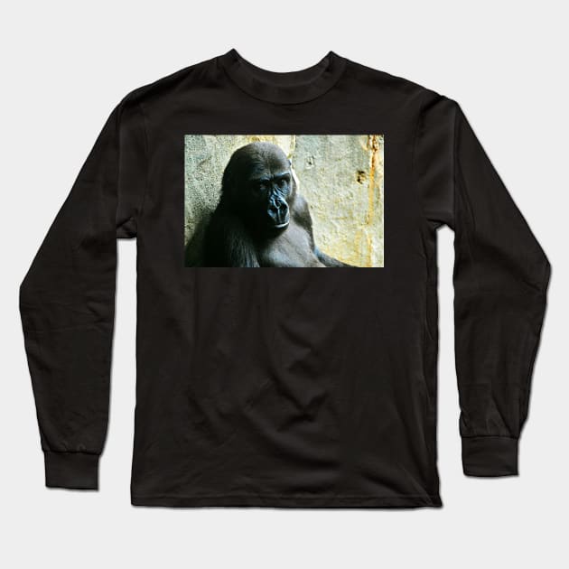 Frankfurt Gorilla Long Sleeve T-Shirt by kchase